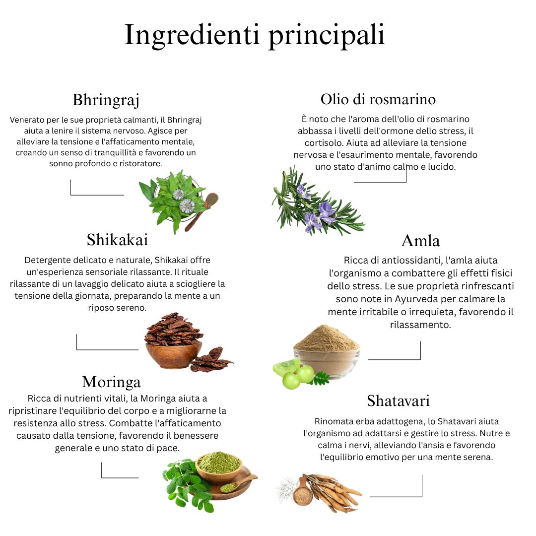 29 Erbe Olio Ayurvedico per Massaggi al Cuoio Capelluto per Alleviare lo Stress, Rivitalizzare i Capelli e Favorire il Rilassamento