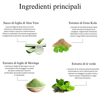 Gel viso rassodante e stimolante del collagene con cicatrice, aloe vera, tè verde e moringa
