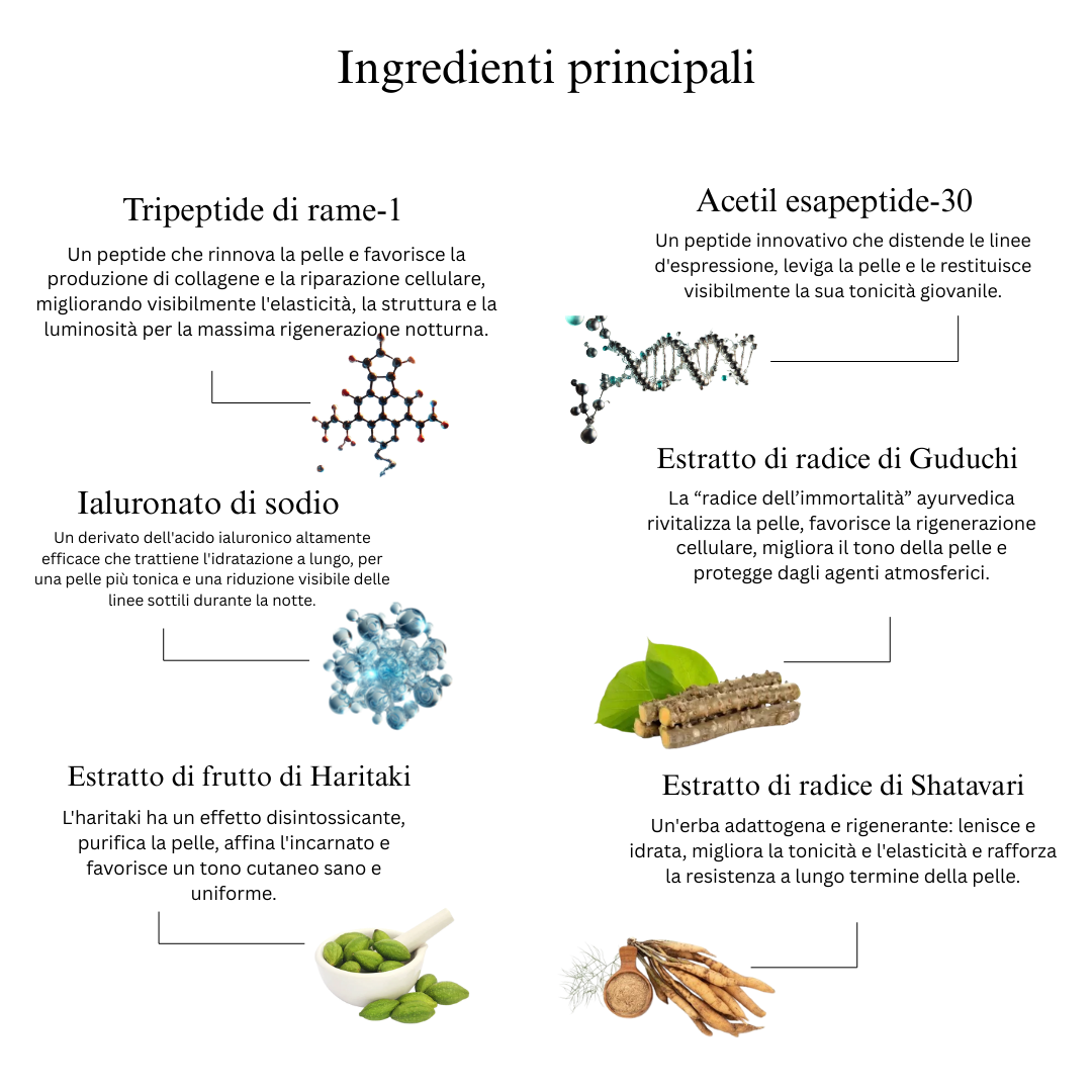Siero viso multi-peptidico Night Repair per un boost di collagene, idratazione intensa e nuova luminosità